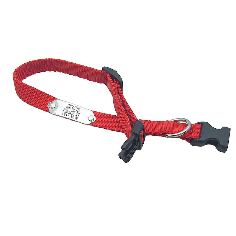 Rivet ID Collar for Dogs, - Lucky Pet